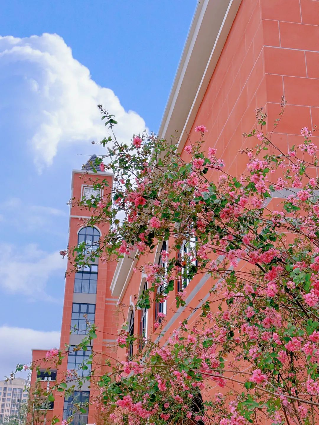 微信图片_20231018155021.jpg 图片