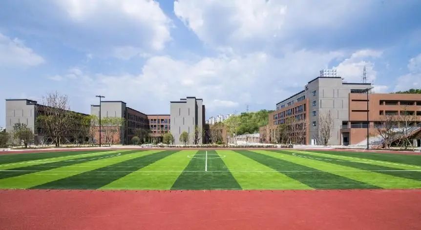 DM_20240909161341_001.JPEG 图片