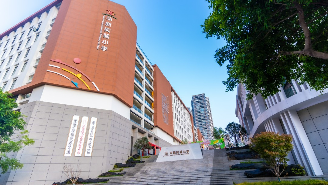 45966522543cut_img.png 图片