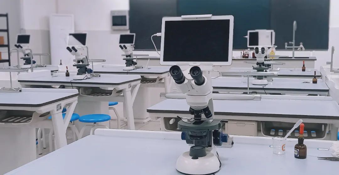 9科学实验室.jpg 图片