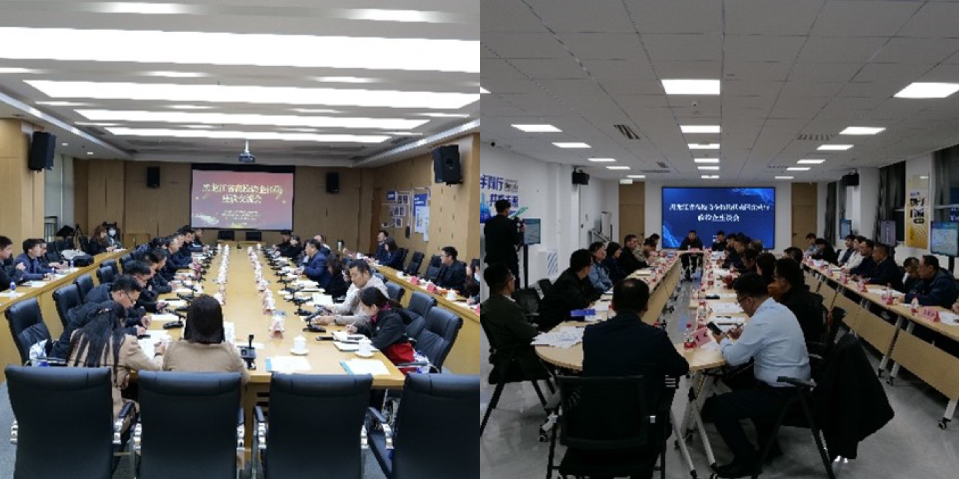 1699839359315352.jpg 1699839359315352.jpg