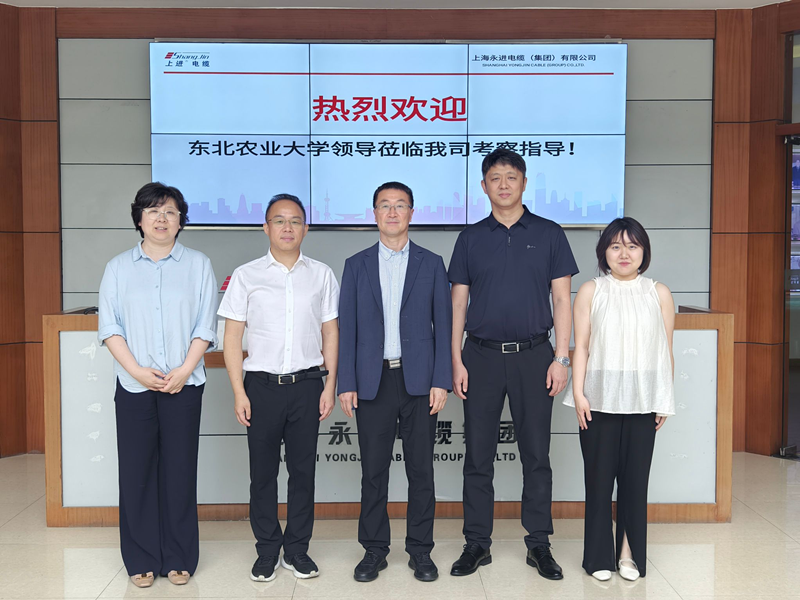 1750166169546026.png 1750166169546026.png