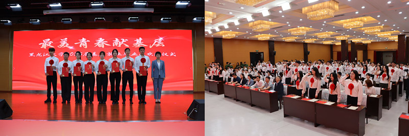 1750298642780577.jpg 黑大2.jpg