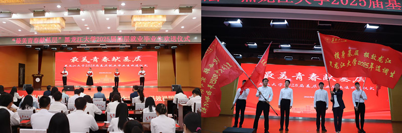 1750298654220622.jpg 黑大3.jpg