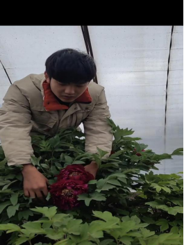 1751356380921650.png image.png