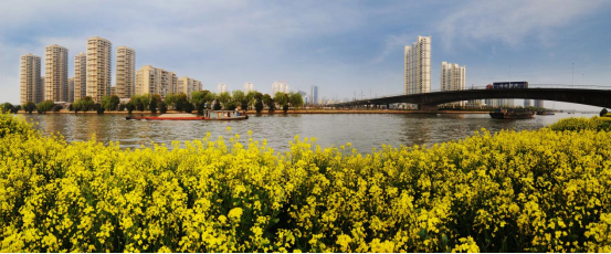 1761026929363251.png image.png